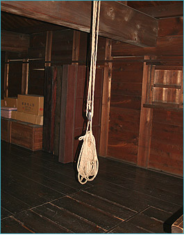 �Í����݂邳��č�����󂯂�